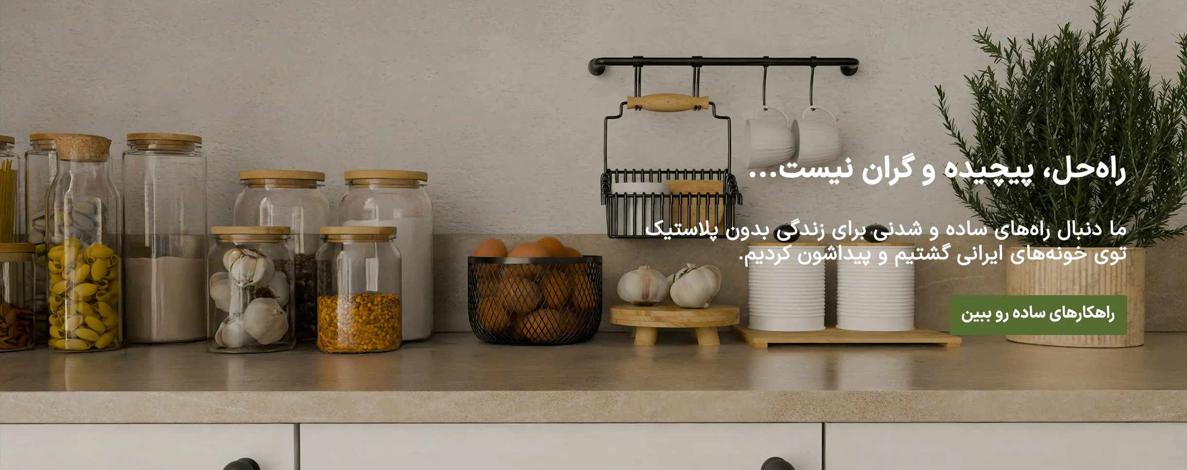 راهنماهای زیست