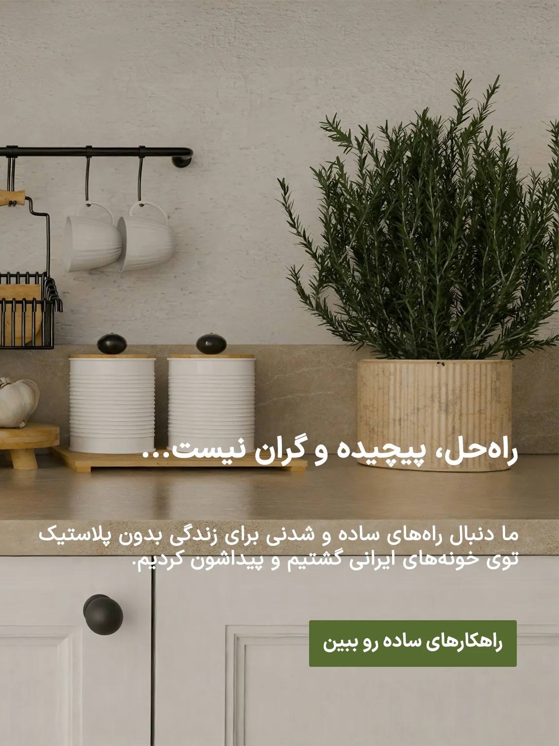 راهنماهای زیست